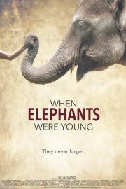 When Elephants Were Young filmas