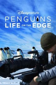 Penguins: Life on the Edge filmas