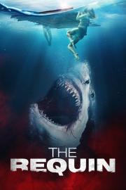 The Requin filmas