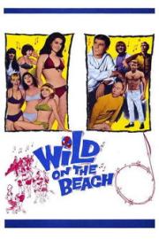 Wild on the Beach filmas