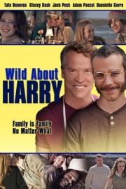 Wild About Harry filmas