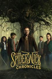 Spaiderviko kronikos filmas