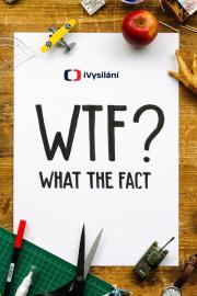 What the Fact filmas