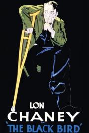 The Blackbird filmas