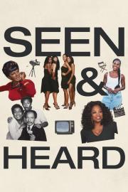 Seen & Heard: The History of Black Television filmas