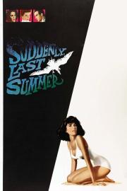 Suddenly, Last Summer filmas
