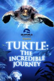 Turtle: The Incredible Journey filmas
