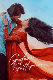 Godari Gattupaina filmas