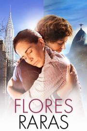 Flores Raras filmas