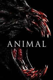 Animal filmas