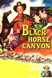 Black Horse Canyon filmas