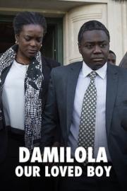 Damilola, Our Loved Boy filmas