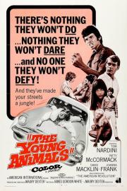 The Young Animals filmas