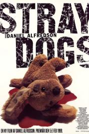 Straydogs filmas