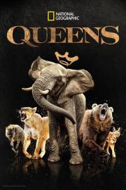 Queens filmas