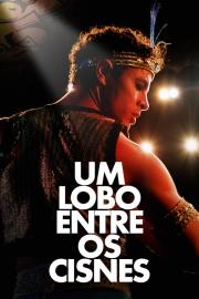 Um Lobo entre os Cisnes filmas