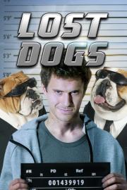 Lost Dogs filmas