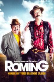ROMing filmas