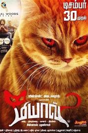 Meow filmas