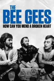 The Bee Gees: How Can You Mend a Broken Heart filmas