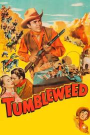 Tumbleweed filmas