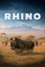 Rhino filmas
