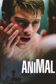 Animal filmas