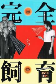 The Perfect Education filmas