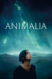 Animalia filmas