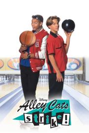 Alley Cats Strike filmas