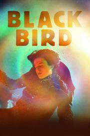 Blackbird filmas