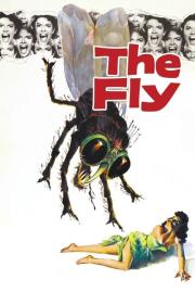 The Fly filmas