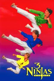 3 Ninjas Kick Back filmas