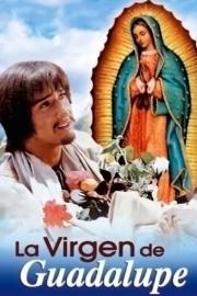 La virgen de Guadalupe filmas