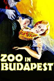 Zoo in Budapest filmas
