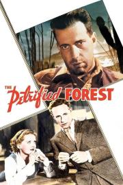 The Petrified Forest filmas