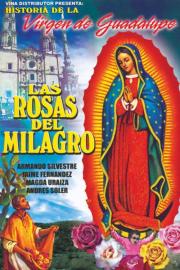 Miracle Roses filmas
