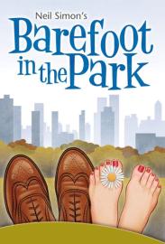 Barefoot In the Park filmas