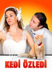 Kedi Özledi filmas