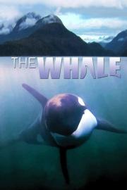 The Whale filmas
