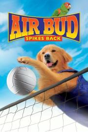 Air Bud: Spikes Back filmas