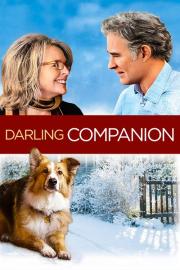 Darling Companion filmas
