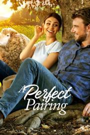 A Perfect Pairing filmas