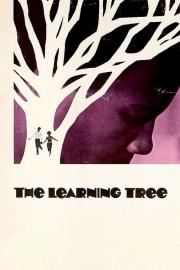 The Learning Tree filmas