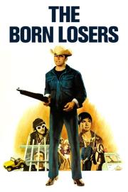 The Born Losers filmas