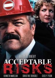 Acceptable Risks filmas