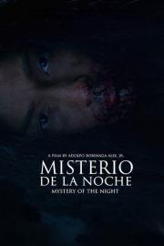 Mystery of the Night filmas