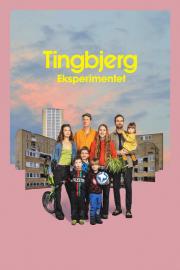 Tingbjerg eksperimentet filmas