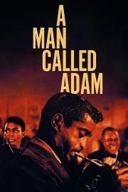 A Man Called Adam filmas