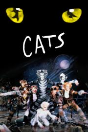 Cats filmas